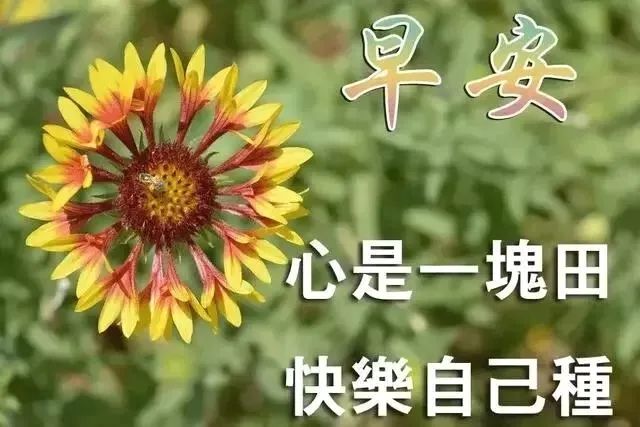 心灵鸡汤-在安静中,不慌不忙地坚强 在线阅读_安静经典句子说说心情_安静的心灵鸡汤