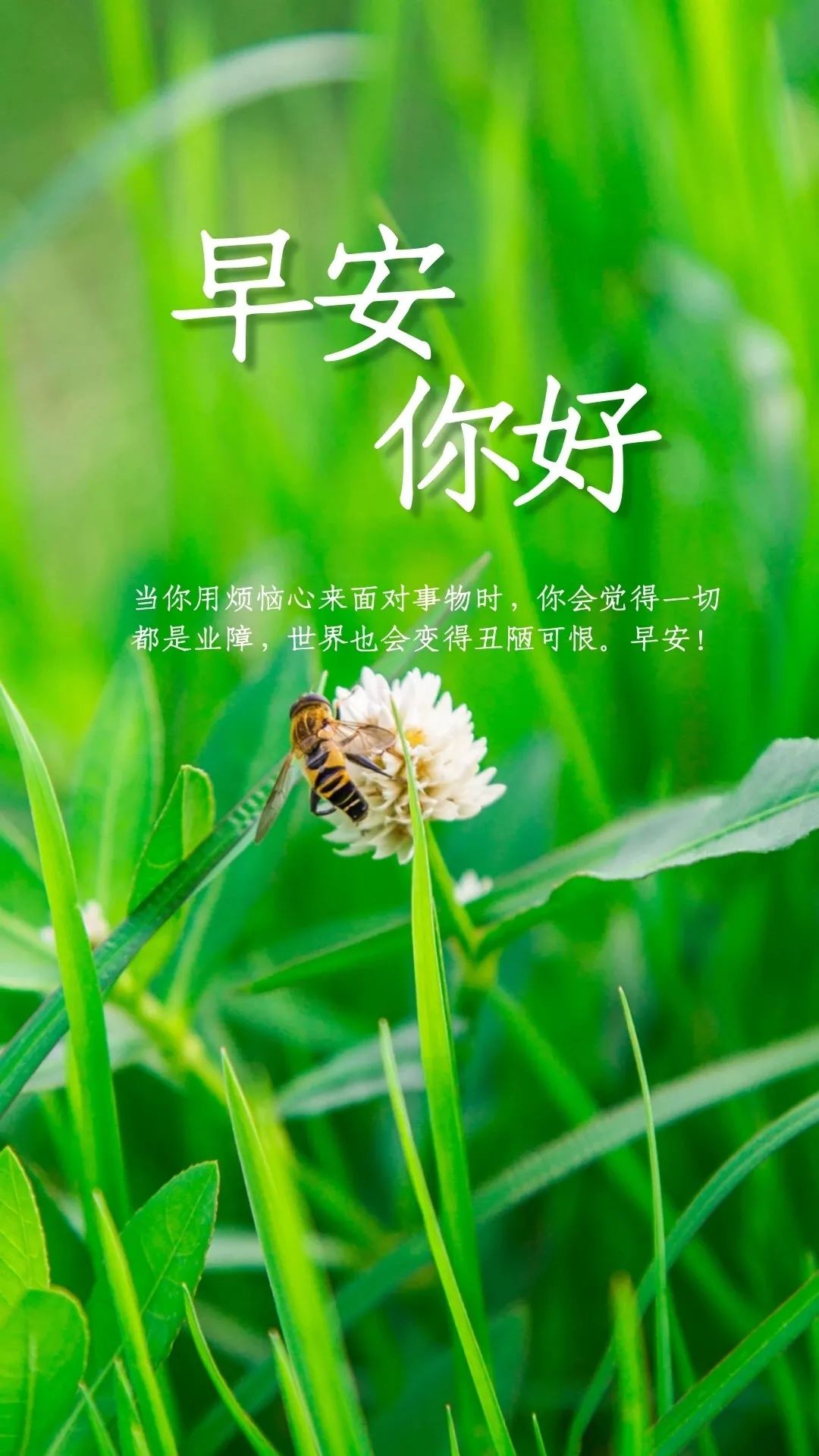 安静经典句子说说心情_安静的心灵鸡汤_心灵鸡汤-在安静中,不慌不忙地坚强 在线阅读
