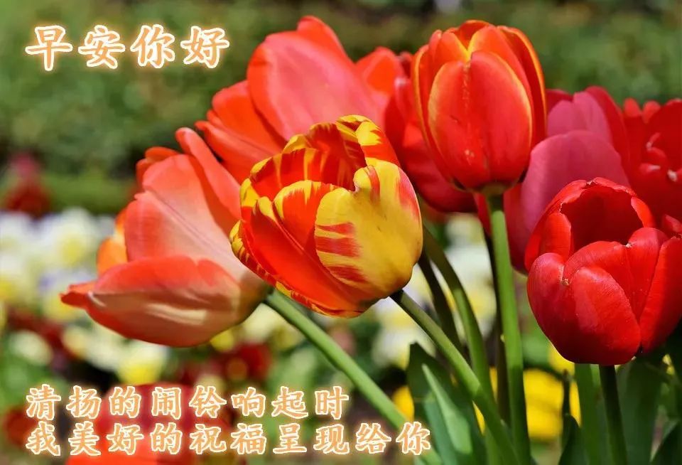 安静的心灵鸡汤_安静经典句子说说心情_心灵鸡汤-在安静中,不慌不忙地坚强 在线阅读