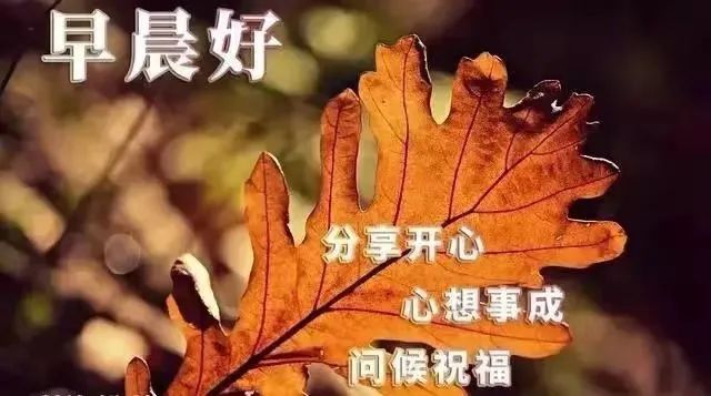 安静的心灵鸡汤_心灵鸡汤-在安静中,不慌不忙地坚强 在线阅读_安静经典句子说说心情