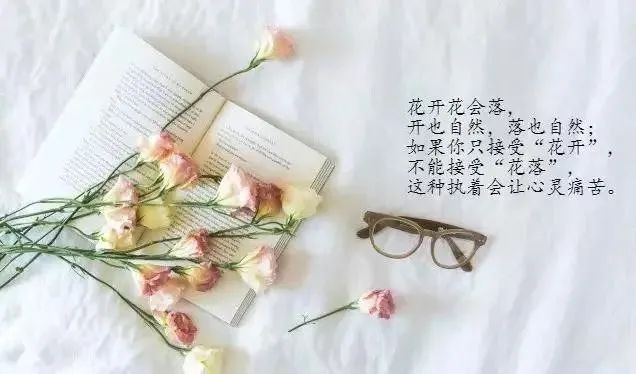 简短电台开头语_心灵鸡汤电台开头语_电台开头语录