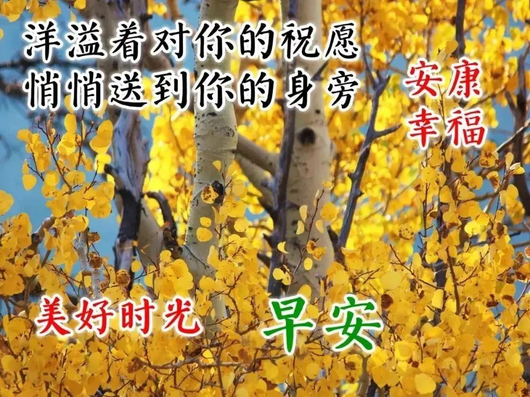电台开头语录_简短电台开头语_心灵鸡汤电台开头语