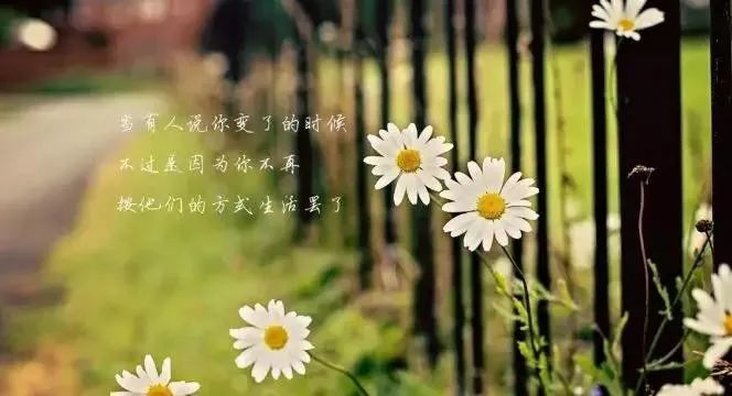 心灵鸡汤电台开头语_电台开头语录_简短电台开头语