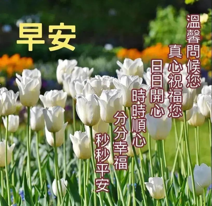 简短电台开头语_电台开头语录_心灵鸡汤电台开头语