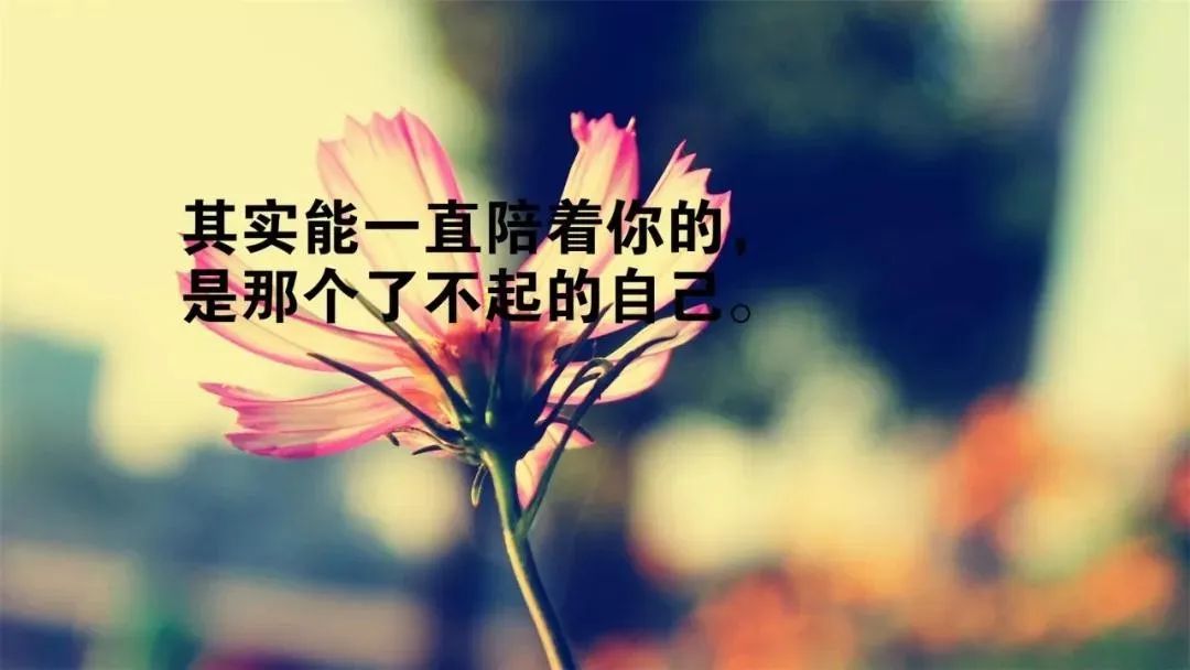 电台开头语录_心灵鸡汤电台开头语_简短电台开头语