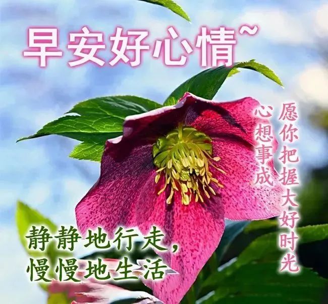 职场励志心灵鸡汤文章_职场励志心灵鸡汤短文_励志的职场鸡汤文