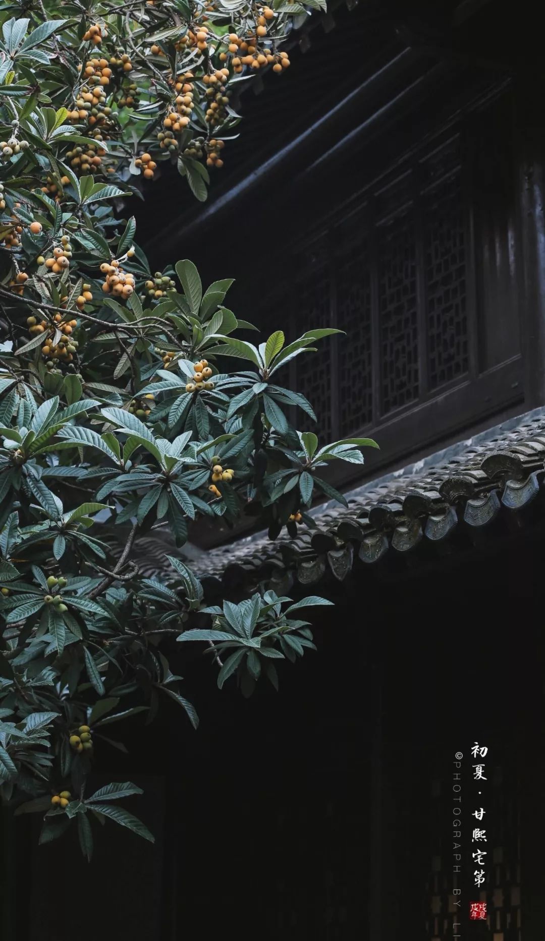 有关友情的心灵鸡汤_关于友情的心灵鸡汤句子_友情鸡汤