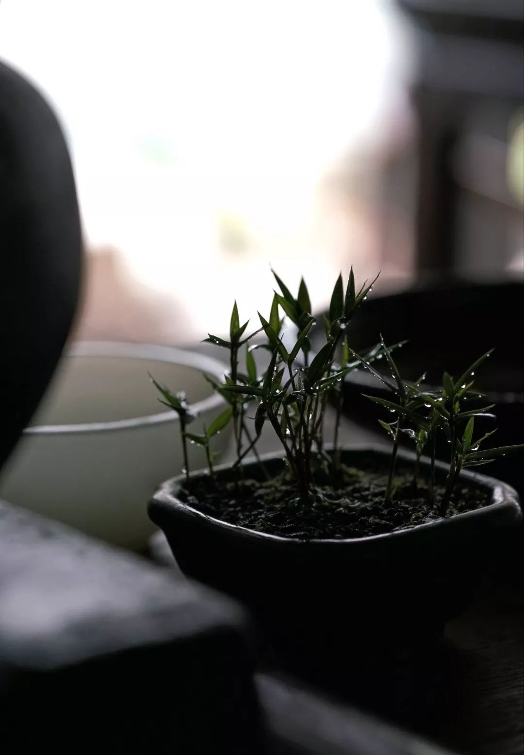 友情鸡汤_有关友情的心灵鸡汤_关于友情的心灵鸡汤句子