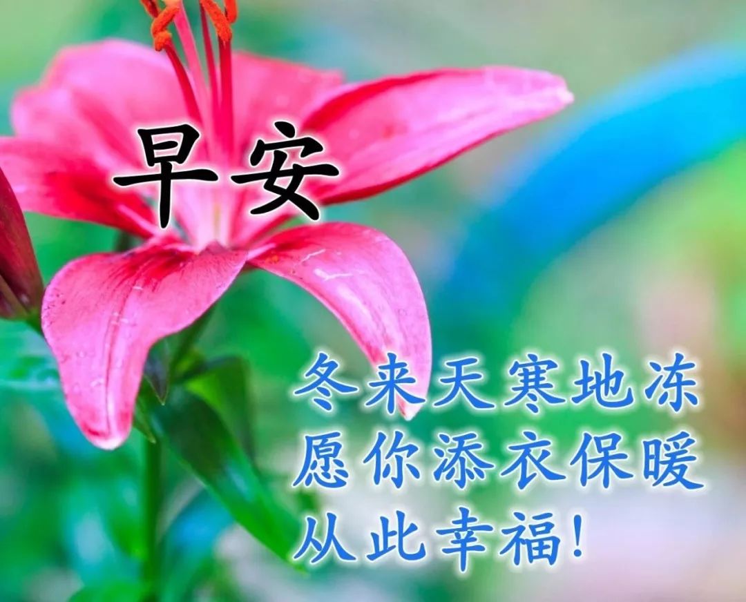 微信头像心灵鸡汤_鸡汤头像_心灵鸡汤头像
