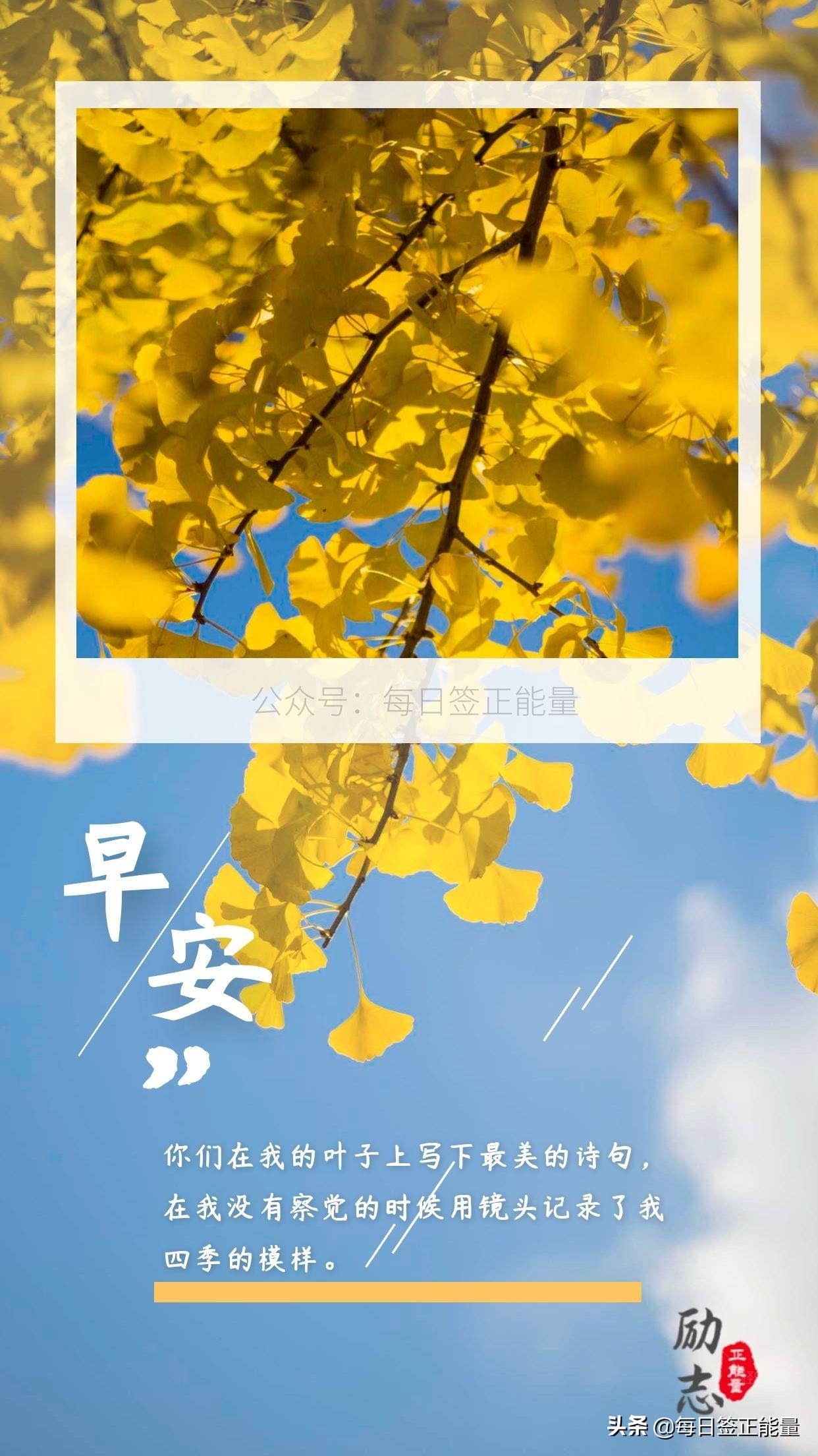 每天一道心灵鸡汤_每天心灵鸡汤语录_每天的心灵鸡汤范文