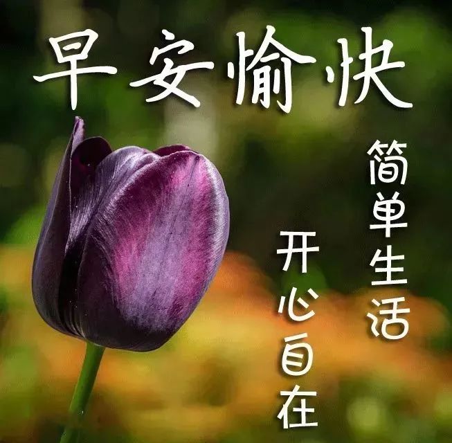 励志早安鸡汤简短_早安励志心灵鸡汤文字配图_早安心灵鸡汤励志语录