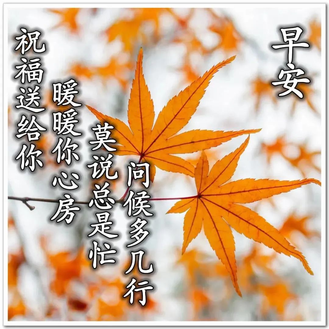 早安鸡汤文励志_早安心灵鸡汤励志语录_早安正能量励志鸡汤心灵语录