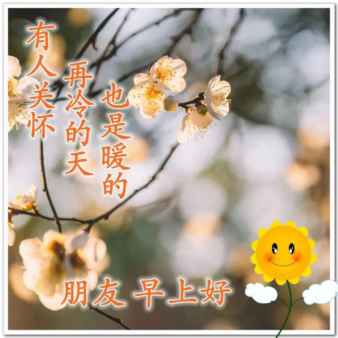早安正能量励志鸡汤心灵语录_早安心灵鸡汤励志语录_早安鸡汤文励志