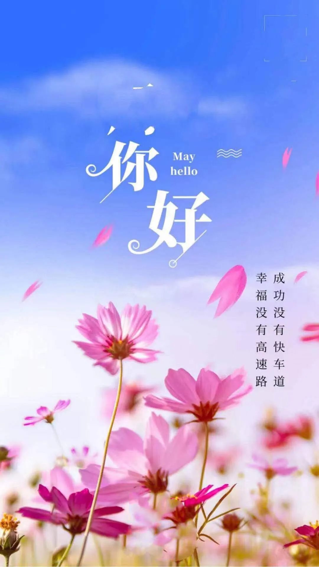 早安正能量励志鸡汤心灵语录_早安心灵鸡汤励志语录_早安鸡汤文励志