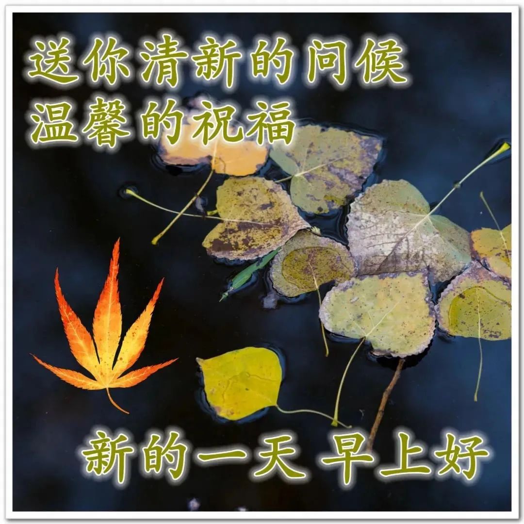 早安心灵鸡汤励志语录_早安正能量励志鸡汤心灵语录_早安鸡汤文励志