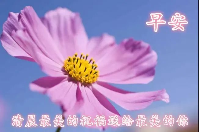 早安正能量励志鸡汤心灵语录_早安心灵鸡汤励志语录_早安鸡汤文励志