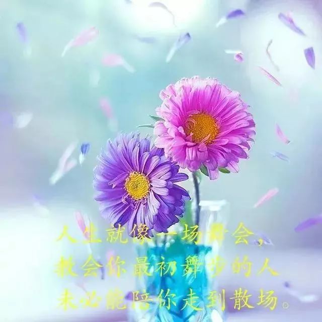 鸡汤语录配图_心灵鸡汤经典语录图片_语录鸡汤心灵经典图片高清
