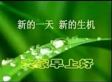 心灵鸡汤看多了是什么意思_心灵鸡汤多了是毒_心灵鸡汤,你真的不能看太多