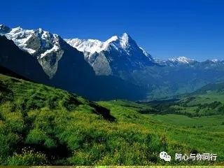 心灵鸡汤爱情短文_爱情心灵鸡汤文章_鸡汤心灵感情