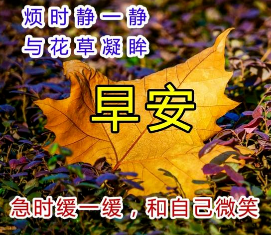 鸡汤心灵朋友圈_鸡汤说说配图_心灵鸡汤带图的说说