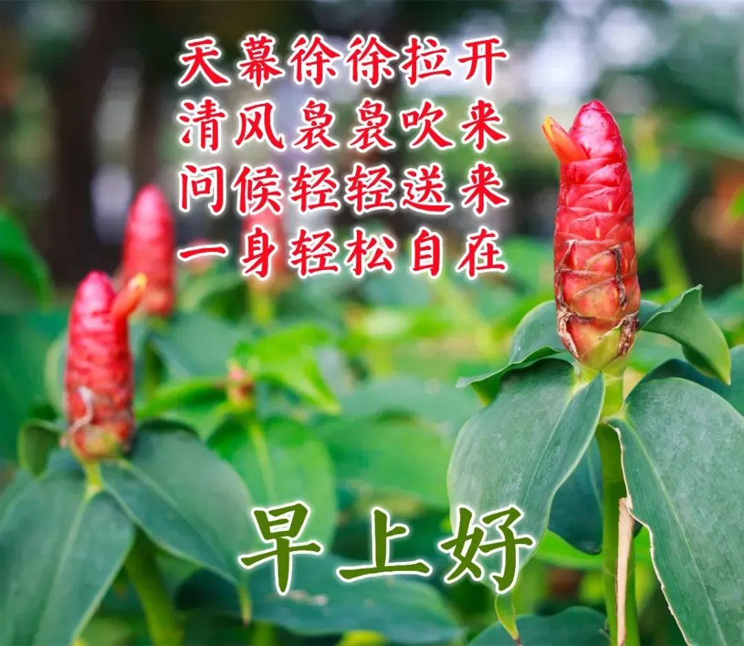 心灵鸡汤带图的说说_鸡汤心灵朋友圈_鸡汤说说配图
