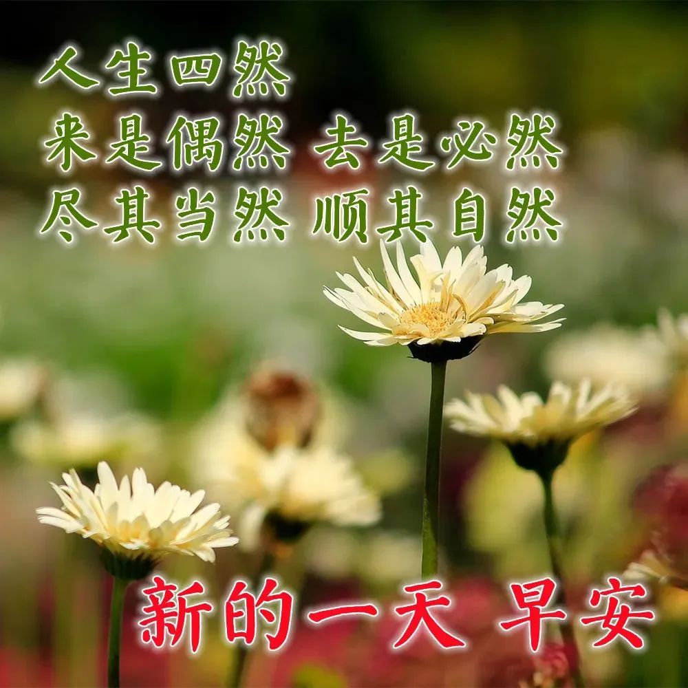 鸡汤心灵朋友圈_心灵鸡汤带图的说说_鸡汤说说配图