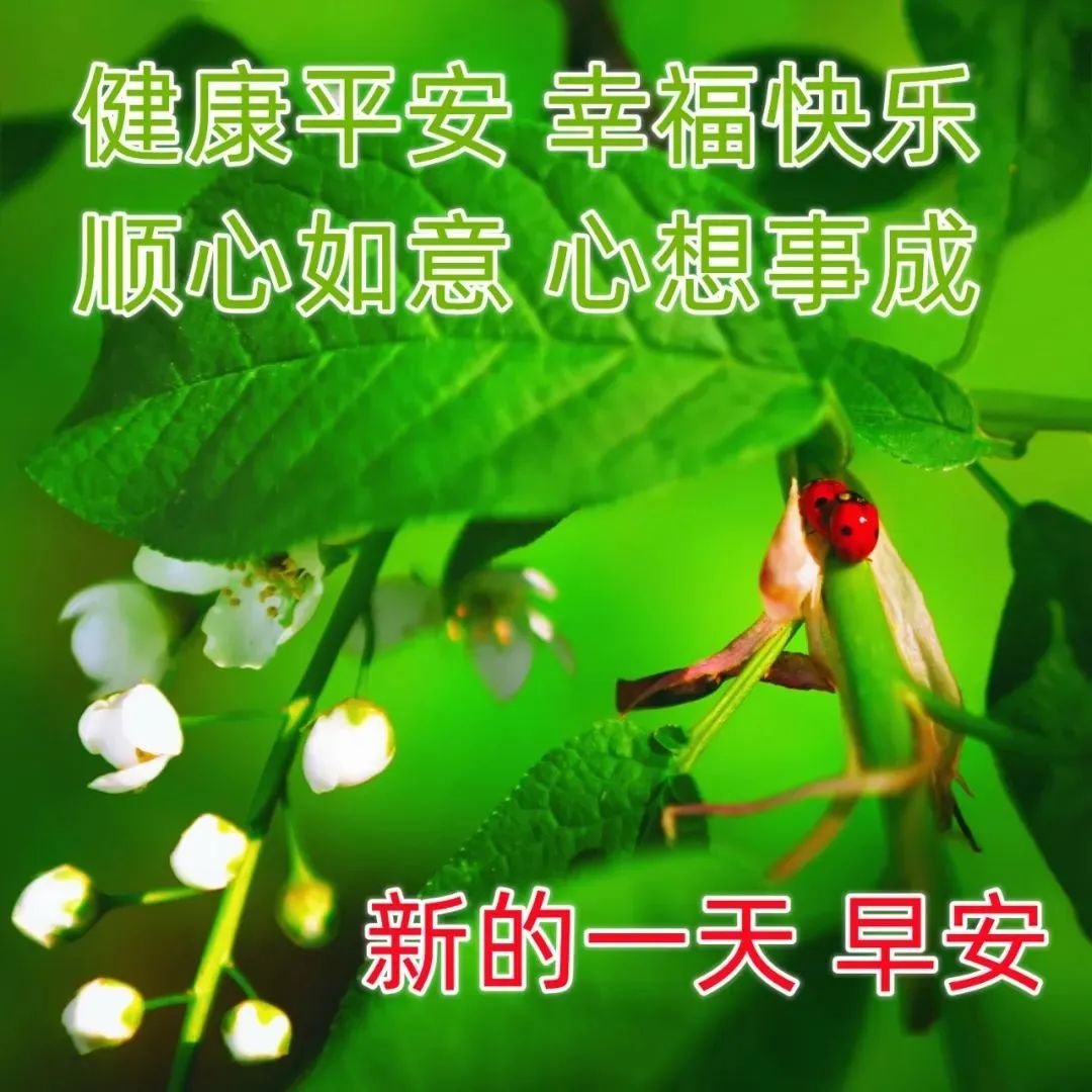 鸡汤心灵朋友圈_鸡汤说说配图_心灵鸡汤带图的说说