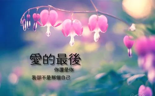 人生感悟心灵鸡汤的句子_感悟鸡汤心灵生活的句子_生活感悟心灵鸡汤