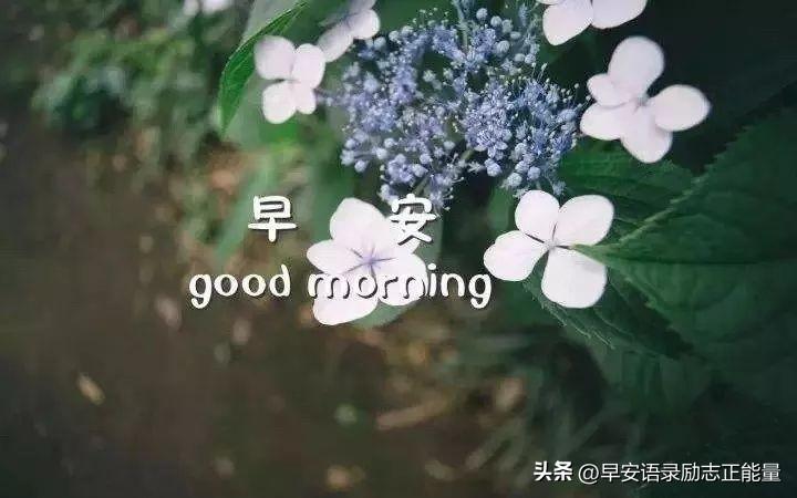 心灵鸡汤 朋友圈_朋友圈鸡汤心情_朋友圈鸡汤配文
