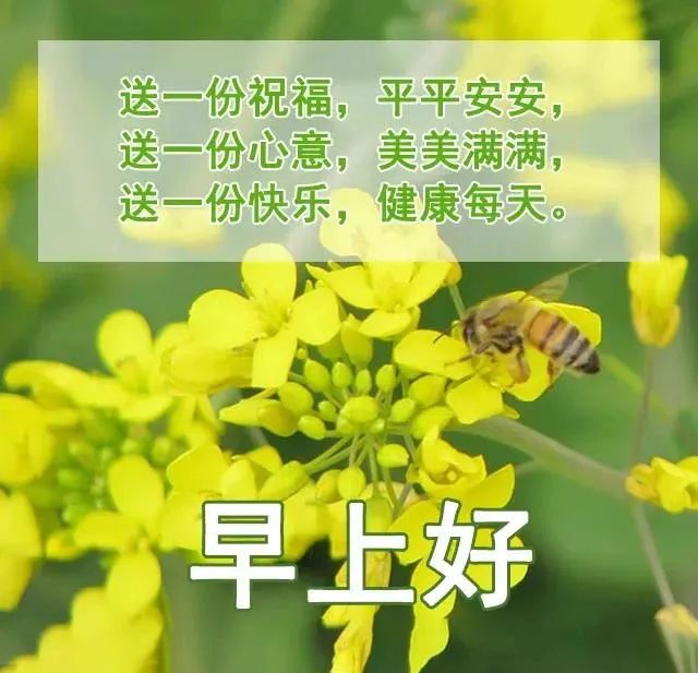 早安鸡汤文励志_心灵鸡汤经典语录励志早安_励志早安鸡汤简短