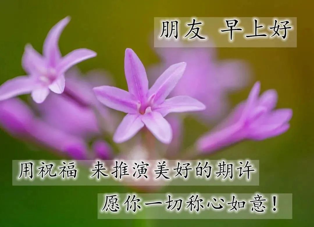 心灵鸡汤经典语录励志早安_早安鸡汤文励志_励志早安鸡汤简短