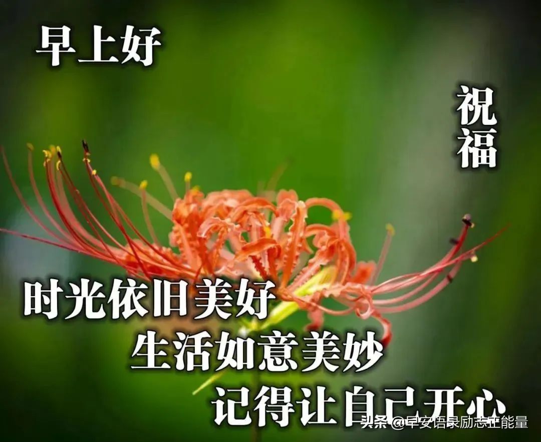 心灵鸡汤带图的说说_鸡汤说说心灵图带文字_鸡汤说说配图