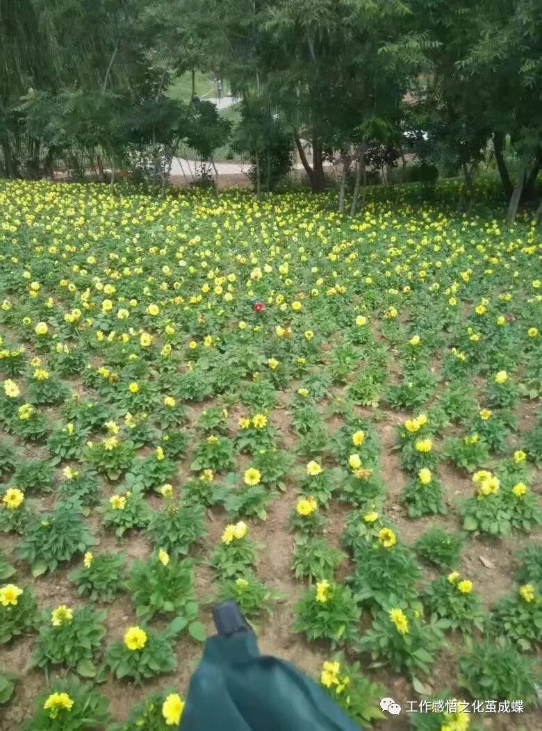 职场心灵鸡汤视频_职场心灵鸡汤短文_心灵鸡汤职场经典语录