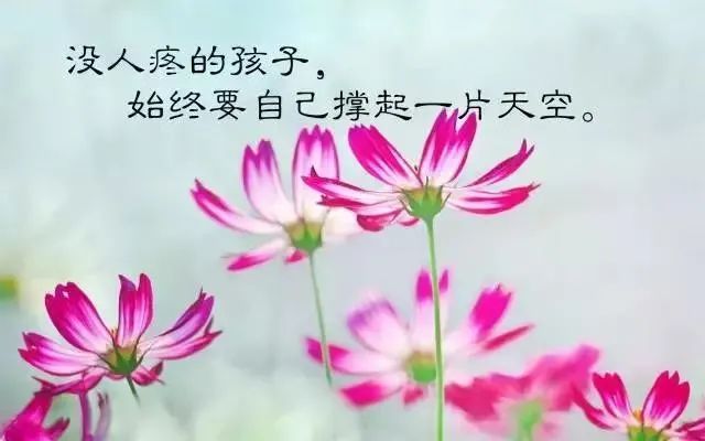 经典语录短句励志心灵鸡汤_励志心灵鸡汤长句_心灵鸡汤励志语录
