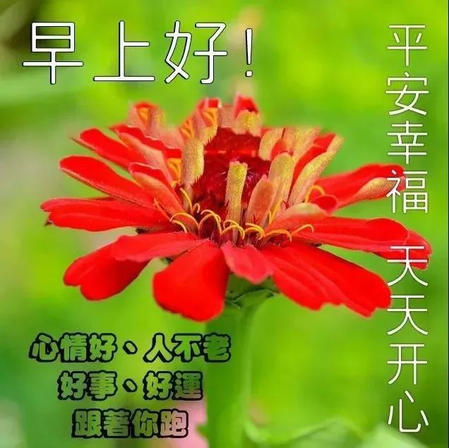 心灵鸡汤励志语录_励志心灵鸡汤长句_经典语录短句励志心灵鸡汤