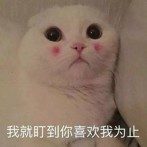 三国比较厉害的武将_三国最厉害的武将_三国强力武将