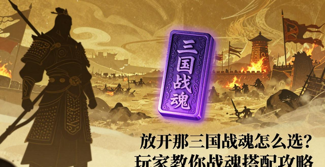 放开那三国战魂选择技巧_放开那三国魏国战魂搭配_放开那三国战魂搭配攻略
